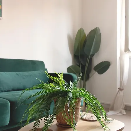 Tucano Mediceo 公寓